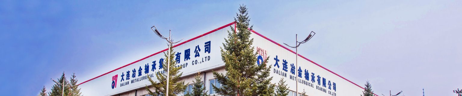 You are currently viewing DYZV